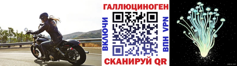закладка  Кукмор  Псилоцибиновые грибы прущие грибы 